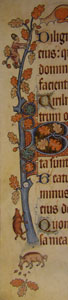 Luttrell Psalter - The swineherd