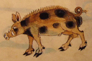Luttrell Psalter - Fierce boar