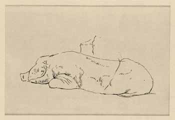 Gustave Moreau - Porc couché