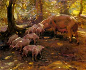 Alfred James Munnings - Pigs In A Wood, Cornwall
