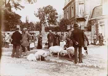 Gustave Popelin - Marchands de porcs #1