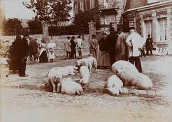 Gustave Popelin - Marchands de porcs #2