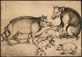 Martin Schongauer - Family of Pigs