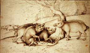 Martin Schongauer - Boar Family
