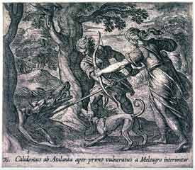 Antonio Tempesta - Calidonius ab Atalanta aper primo vulneratus a Meleagro interimitur