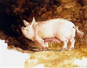 James Wyeth - Pig