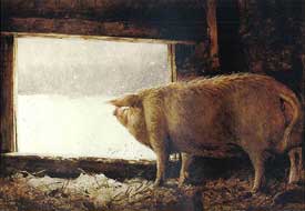 James Wyeth - Winter Pig