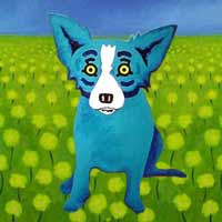 Blue Dog