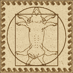 vitruvian swine