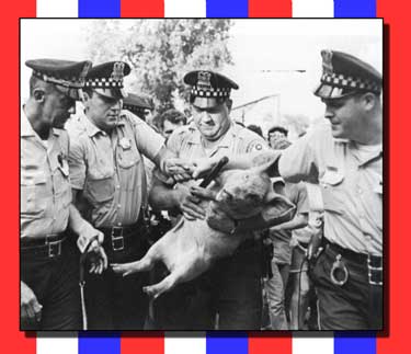 Pigasus and the Cops