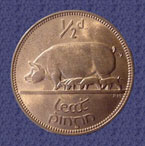 Irish halfpenny with pigs