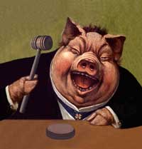 pig judge